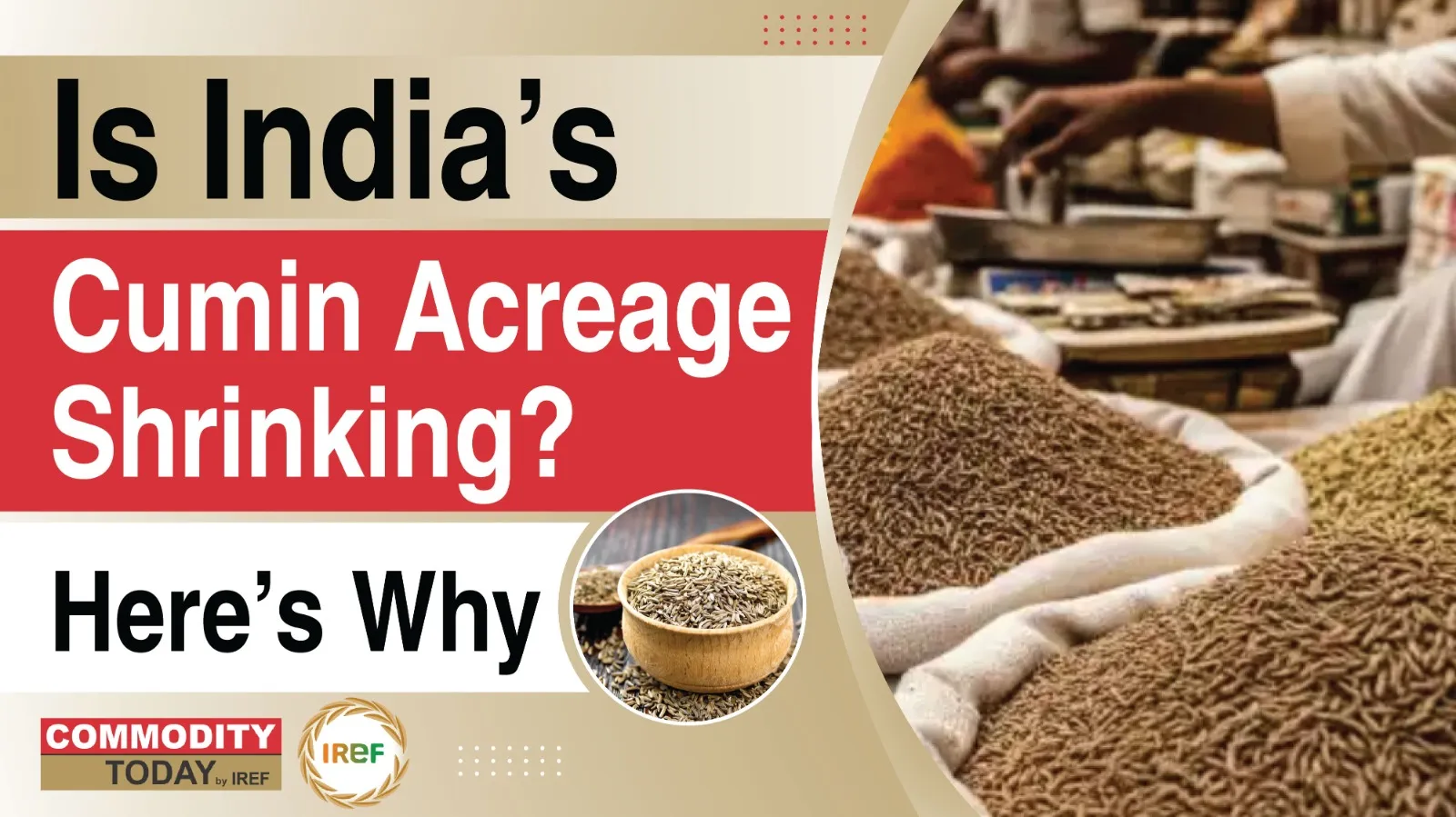 India’s Cumin Acreage May Shrink On Weak Prices This Rabi Season