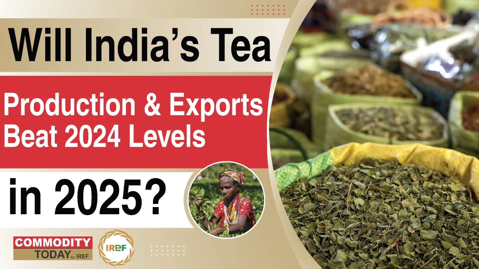 India’s Tea Production And Exports For 2025 Set To Beat 2024 Levels