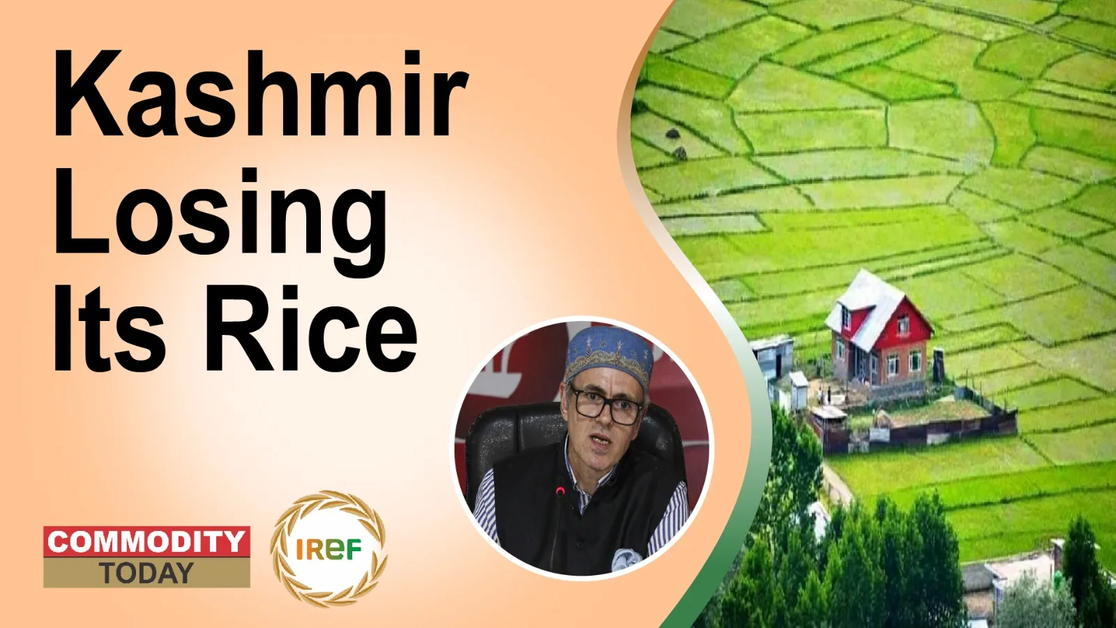 Loss of Farmland in Kashmir Deepens Dependence on External Rice Supplies