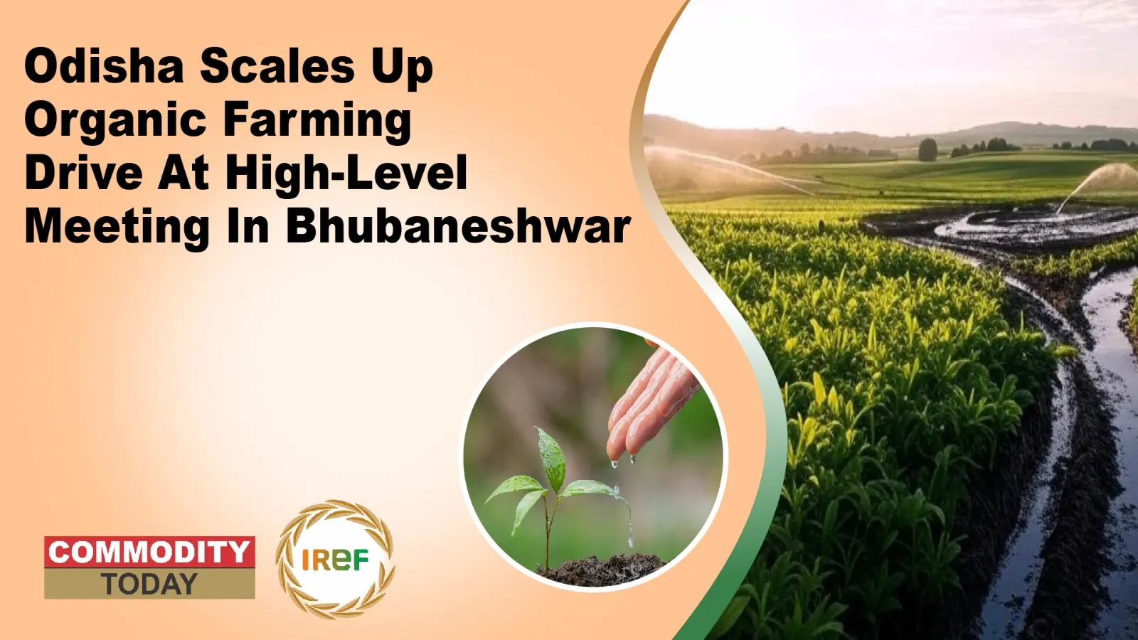 Odisha Scales Up Organic Farming Drive At High-Level Meeting In Bhubaneshwar