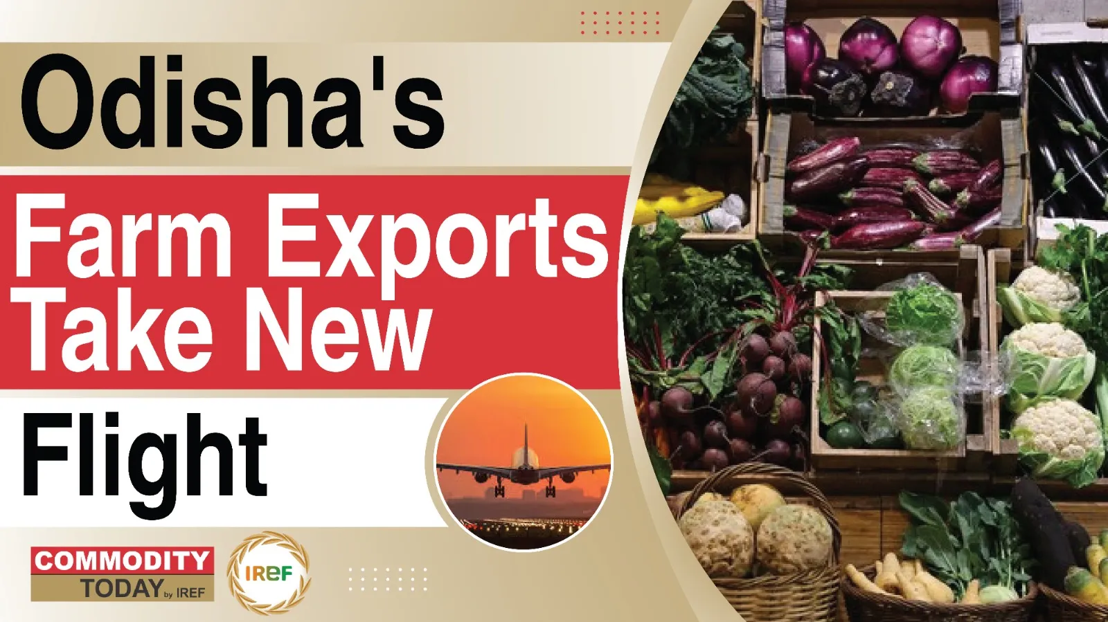 Odisha’s Farm Exports Reached Dubai Landing Garlic And French Beans