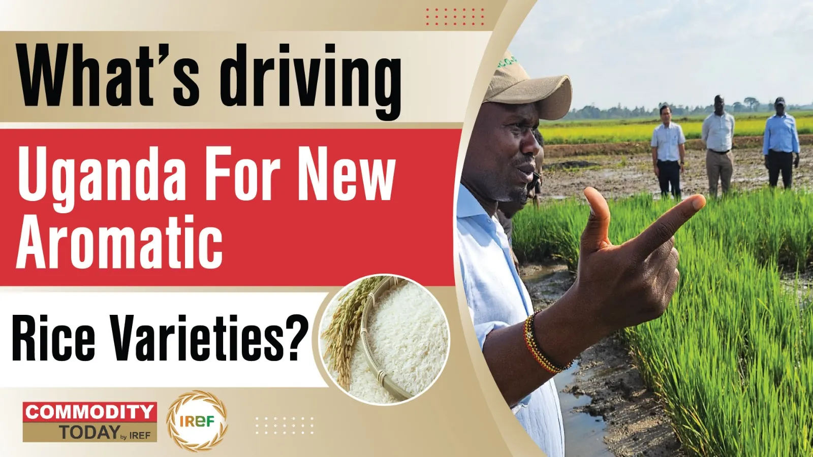 Uganda To Introduce Aromatic Rice Varieties To Reduce Rice Imports