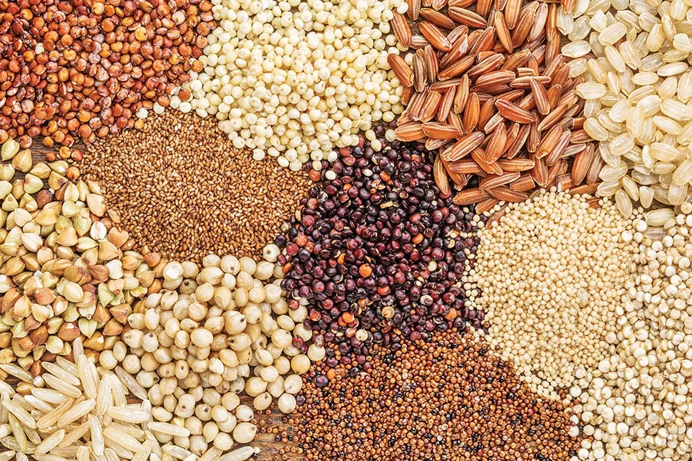 Bangladesh Has Highest-Ever Food Grain Stock, Rice Price spike Unlikely Food Adviser