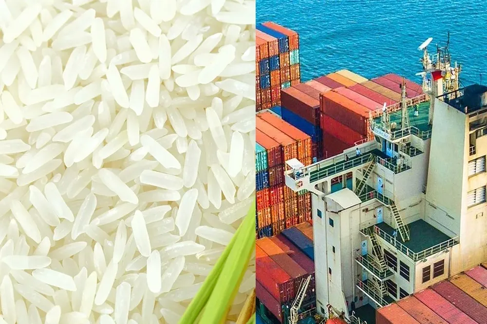 Basmati Rice Exports to Iran Affected By Currency Crisis, Stocks worth Rs 2,000 Crore Stranded At Ports