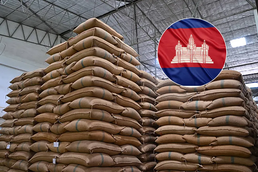 Cambodia’s Rice Exports To surpass one MMT in 2026