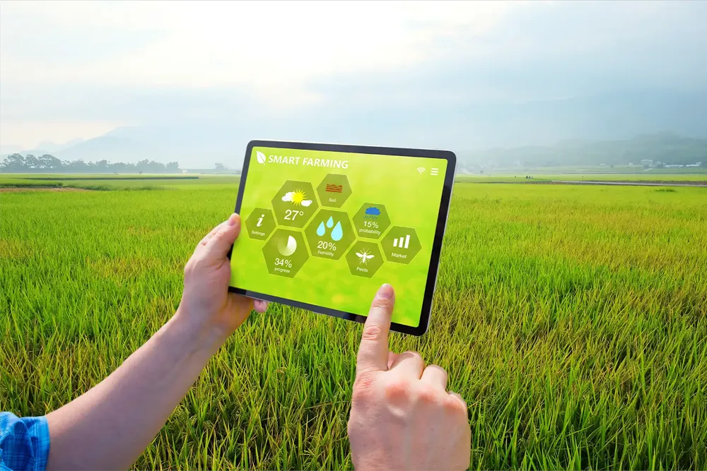 Digital learning reaches Rice Fields in Jammu and Kashmir