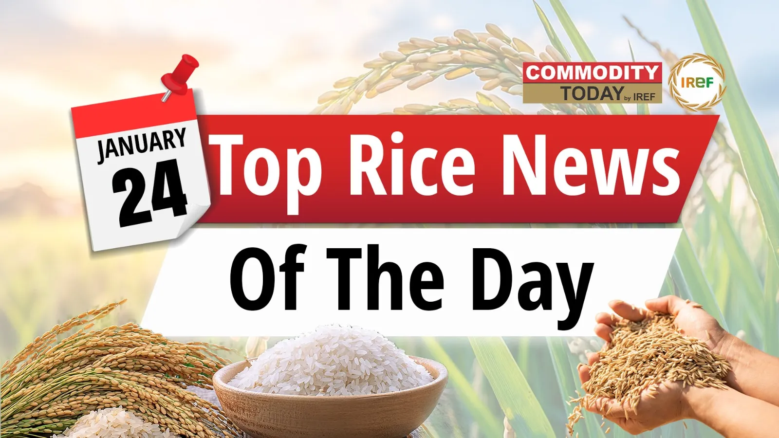 Food Grain Train With Rice To Anantnag, Pak Govt Looks For Philippine Rice Tenders Top Rice News Of The Day