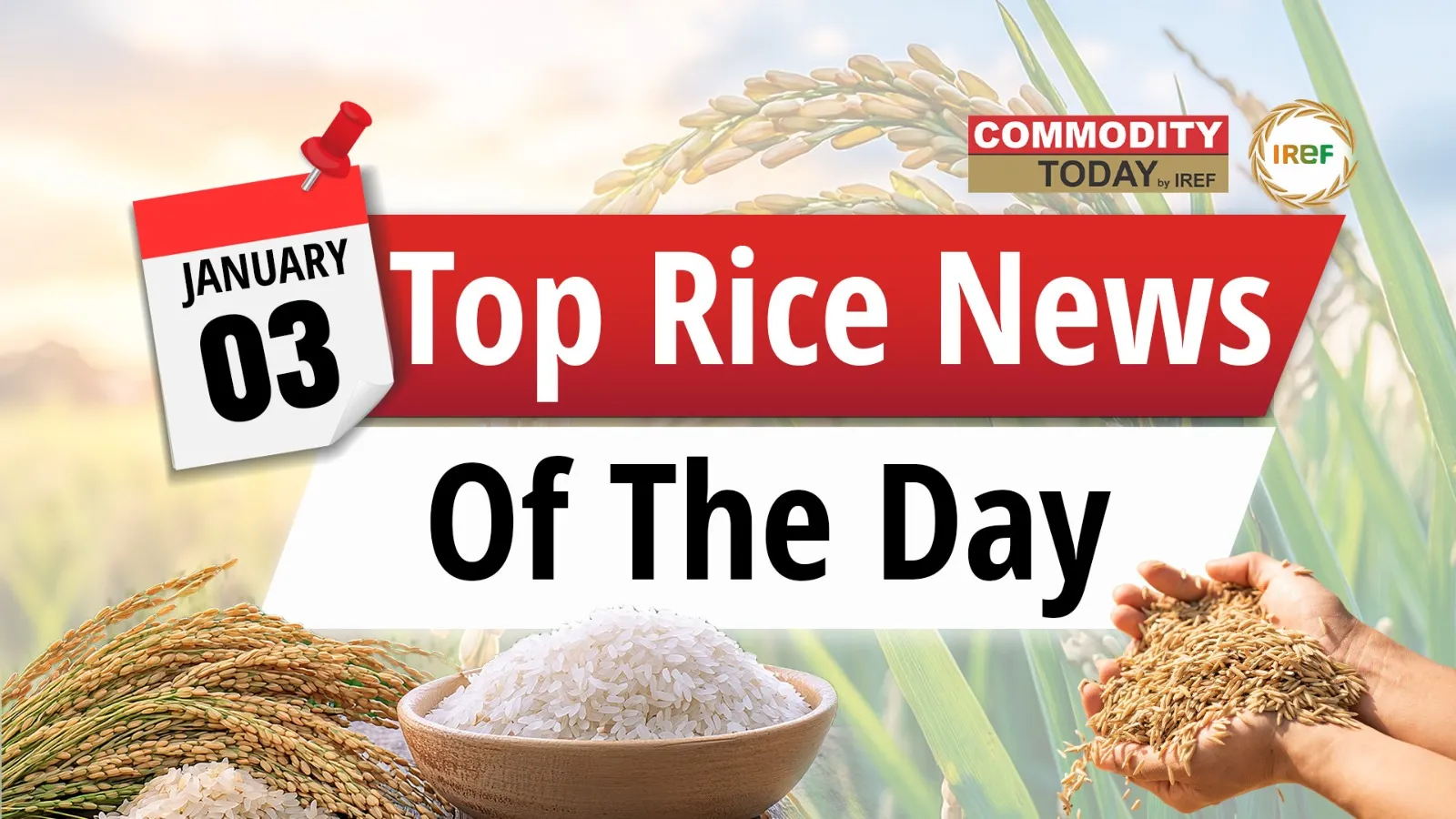 From Indonesia’s Food Staples Halt To India’s Rice Procurement From Odisha Here Are Some Significant Rice News of The Day