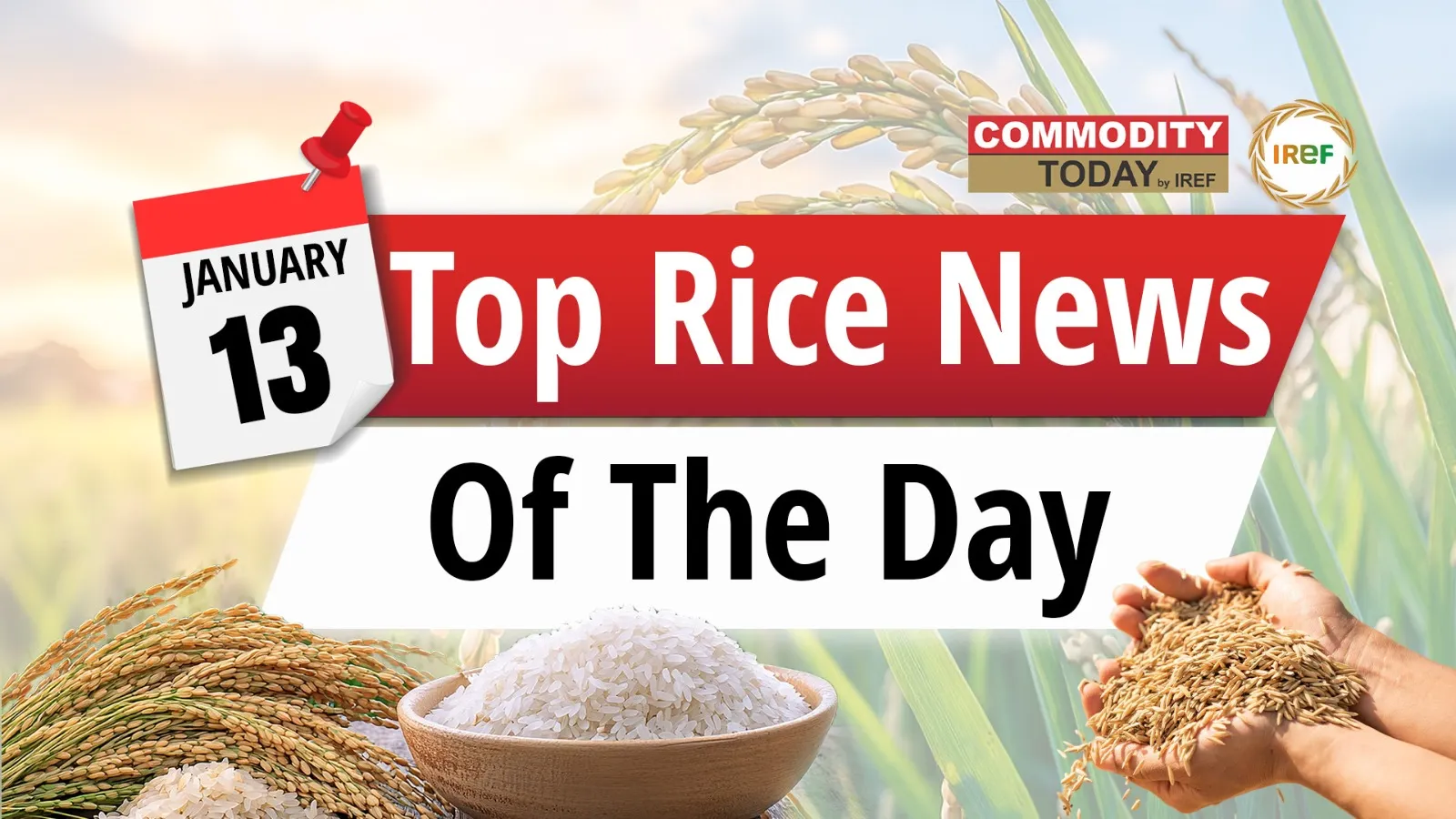 From Philippines Rice Imports despite Tariff to Cambodia Rice exports. Here Are Top Rice News of The Day