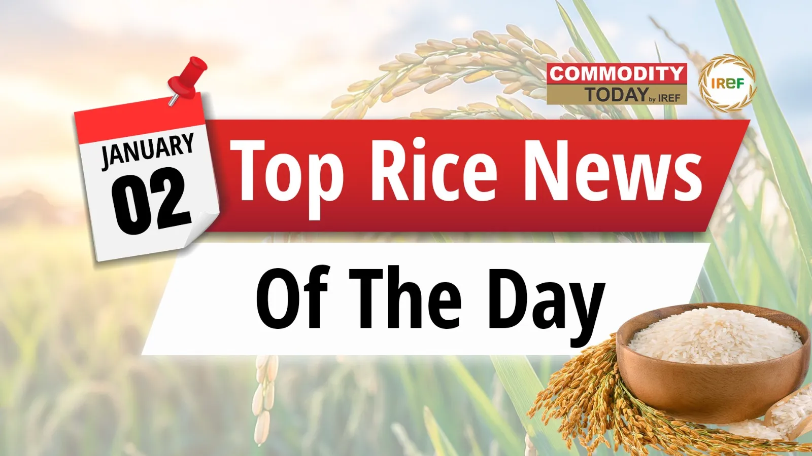 From Rice Procurement Up To Punjab Leads In Rice Production. Today’s Rice News