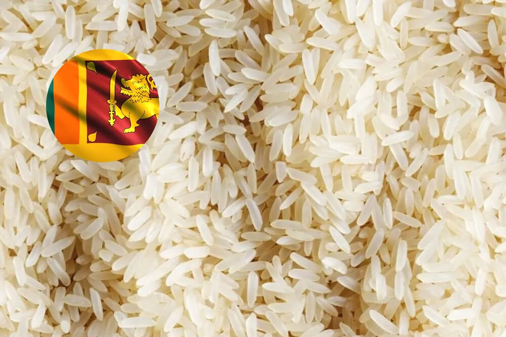Government Rolls Out Record 55,000 Metric Tons of Rice to the Market