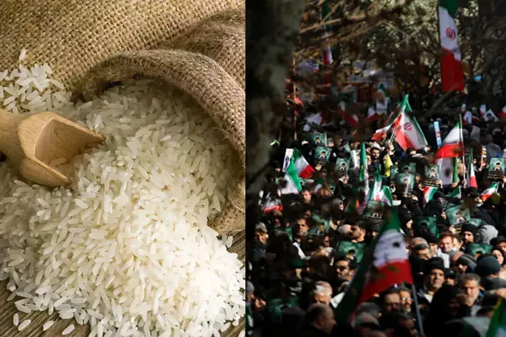 India Looks For New Basmati Rice Markets As Iran Unrest Disrupts Exports
