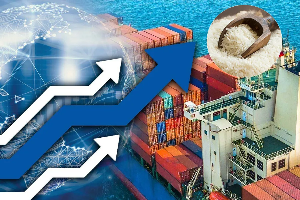 India’s Rice Exports Increase Sharply After Curbs Lifted