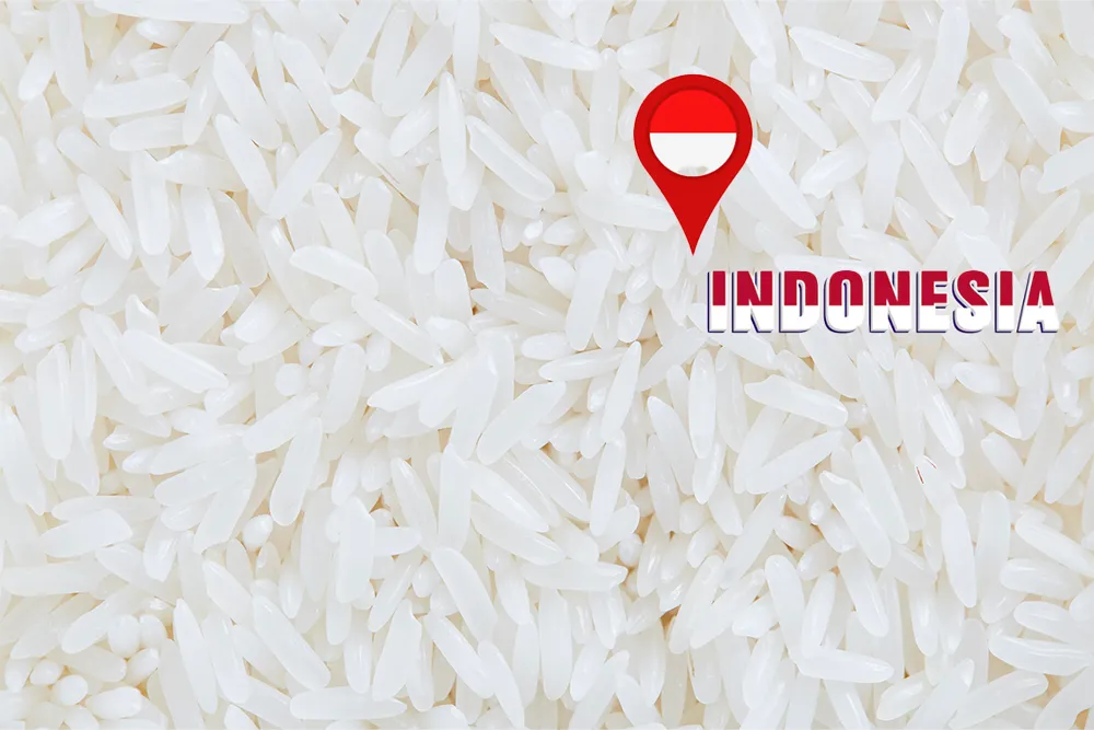 Indonesia Plans to Maintain 4 Million Tons of Rice Reserves Through 2029