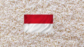 Indonesia To Stop Importing Food Staples Such As Corn, Rice And Sugar In 2026