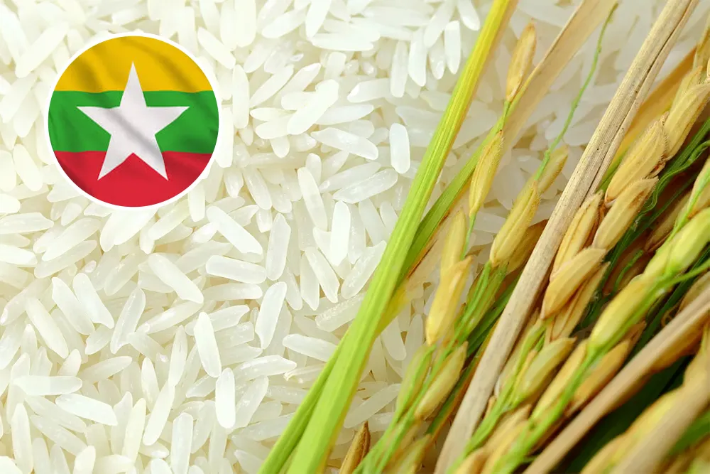 Myanmar Donates 500 Tonnes Of Rice To Support Cyclone-Affected People of Sri Lanka