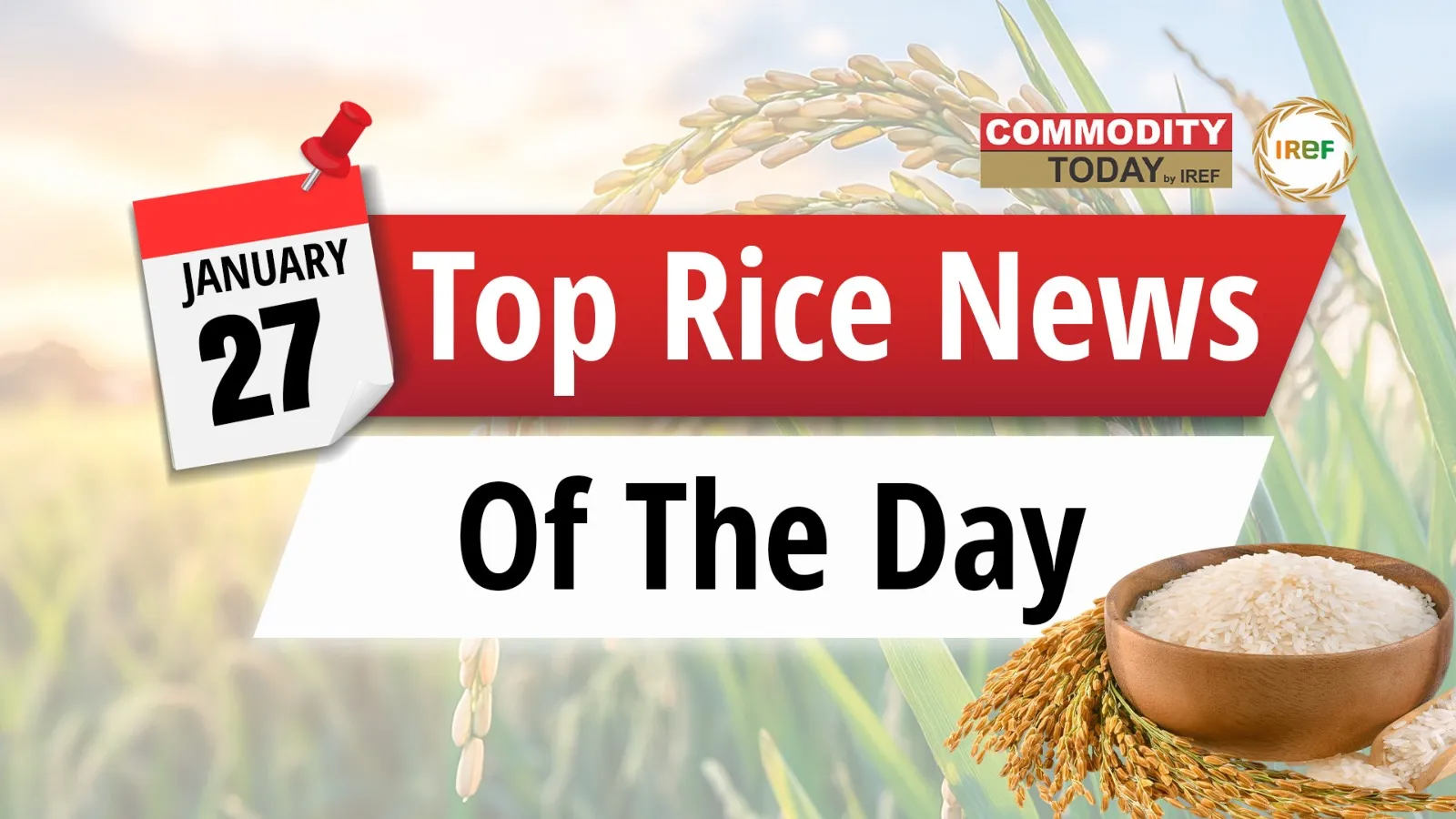 Paddy Prices Increase, Matta Rice in Kerala, and Digital Learning in Rice Fields Top Rice News of the Day