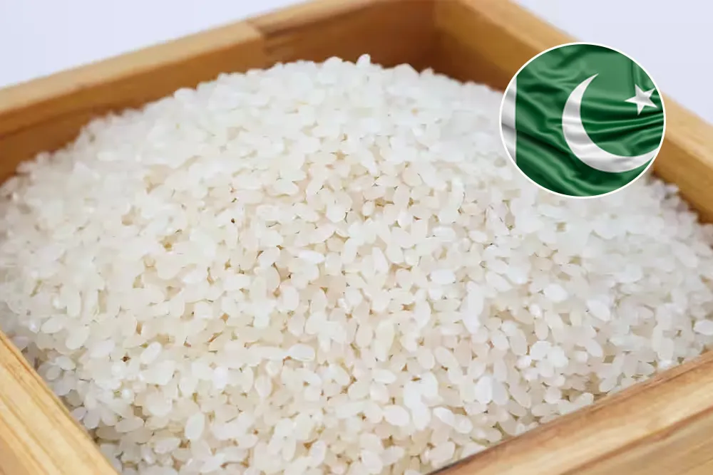 Pakistan Emerges As The World’s Third-Largest Rice Exporter In December