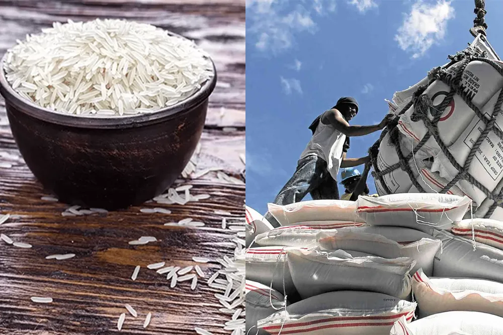 Philippines Plans To Do Rice Imports Of 300,000 MT In Feb, Vietnam Prices Stable