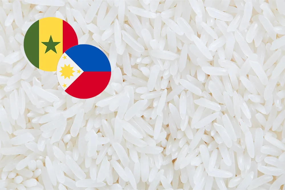 Philippines Plans to sign 2.5 Million-Tonnes rice deal with Vietnam