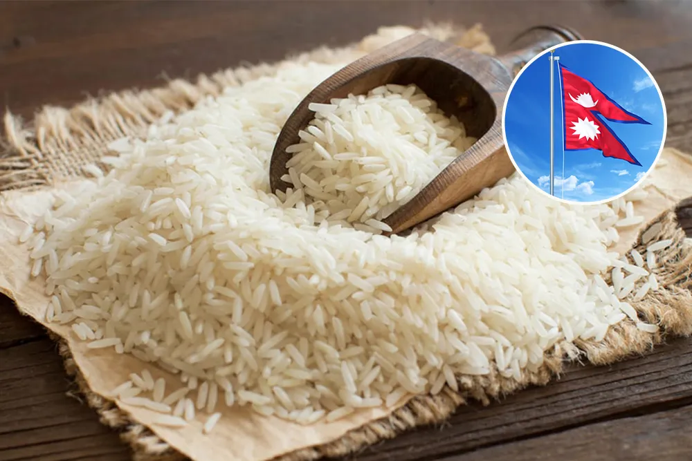 Reduction in Paddy Production puts rice self-reliance at risk