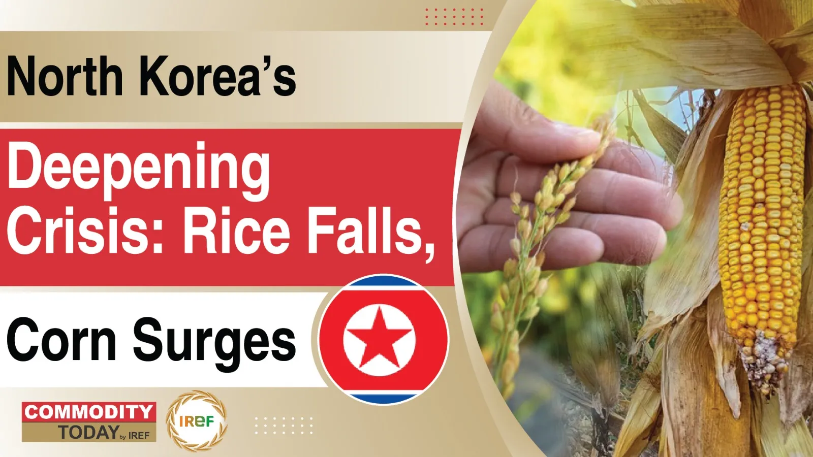 Rice Prices Fall As Corn Costs Surge, North Korea’s Deepening Concerns