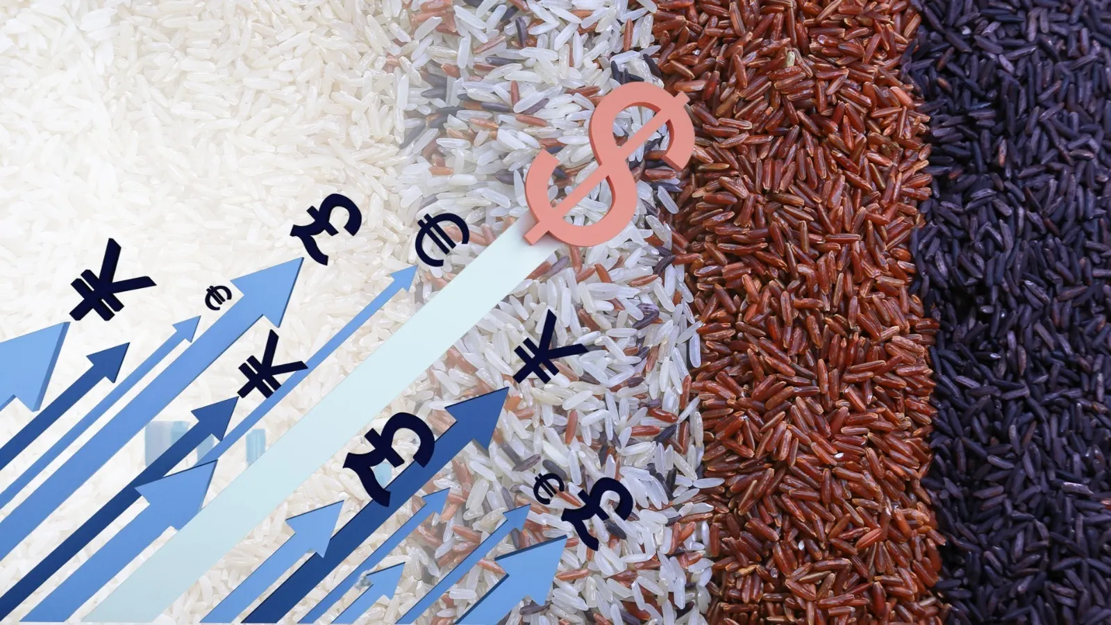 Sharp Increase in Foreign Exchange Rate