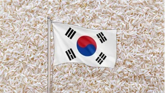 South Korea Plans To Buy Rice