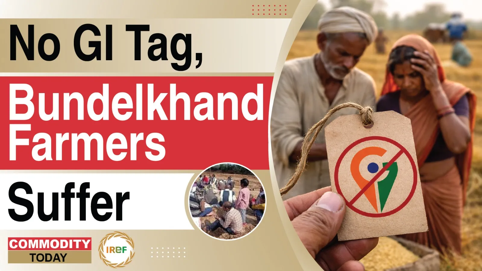 Bundelkhand Basmati Rice Farmers in Distress Over Absence of GI Tag