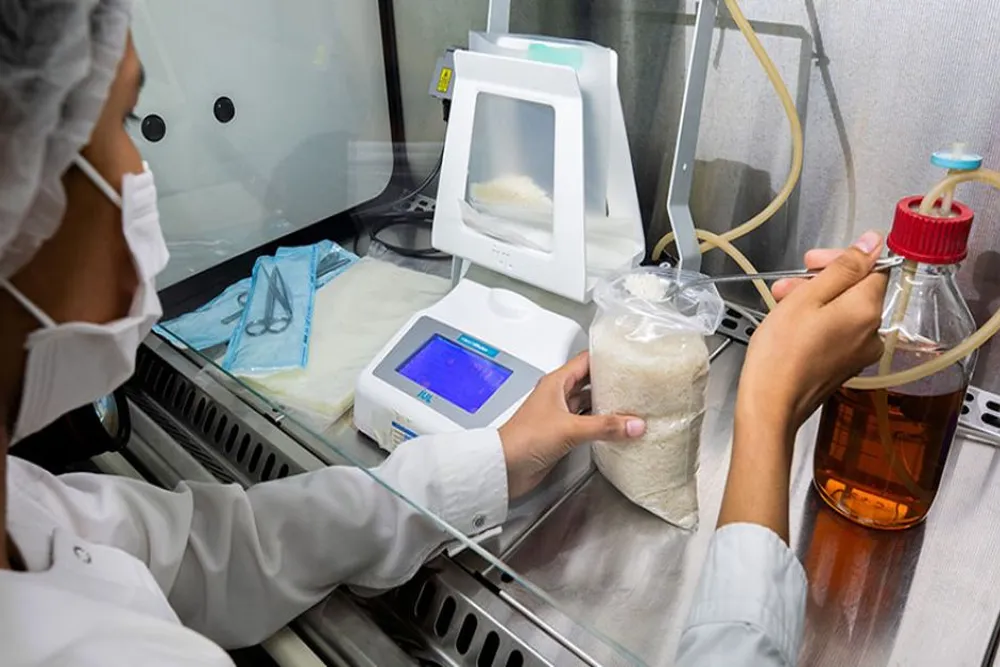 Cambodian Rice & Pepper Exporters Can Now Test Products Domestically