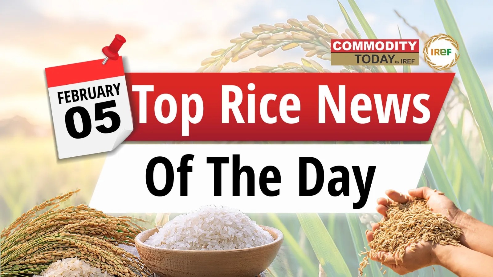 From Post-Harvest Model to Japan Farm Minister’s Rice Gaffe Today’s Top Rice News