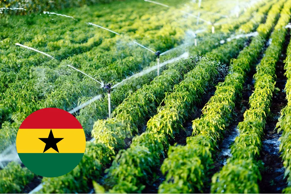 Ghana Boosts Irrigation for Rice and Food Security