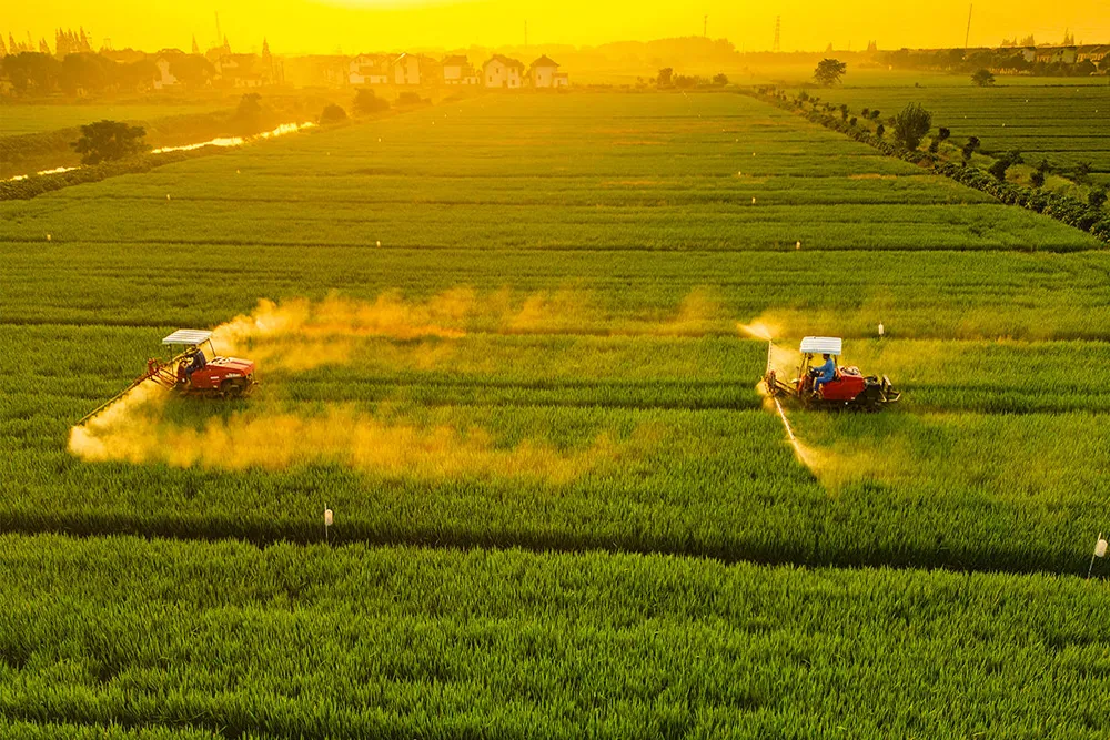 Godrej Agrovet rolls out TAKAI Insecticide for Rice Crop Protection