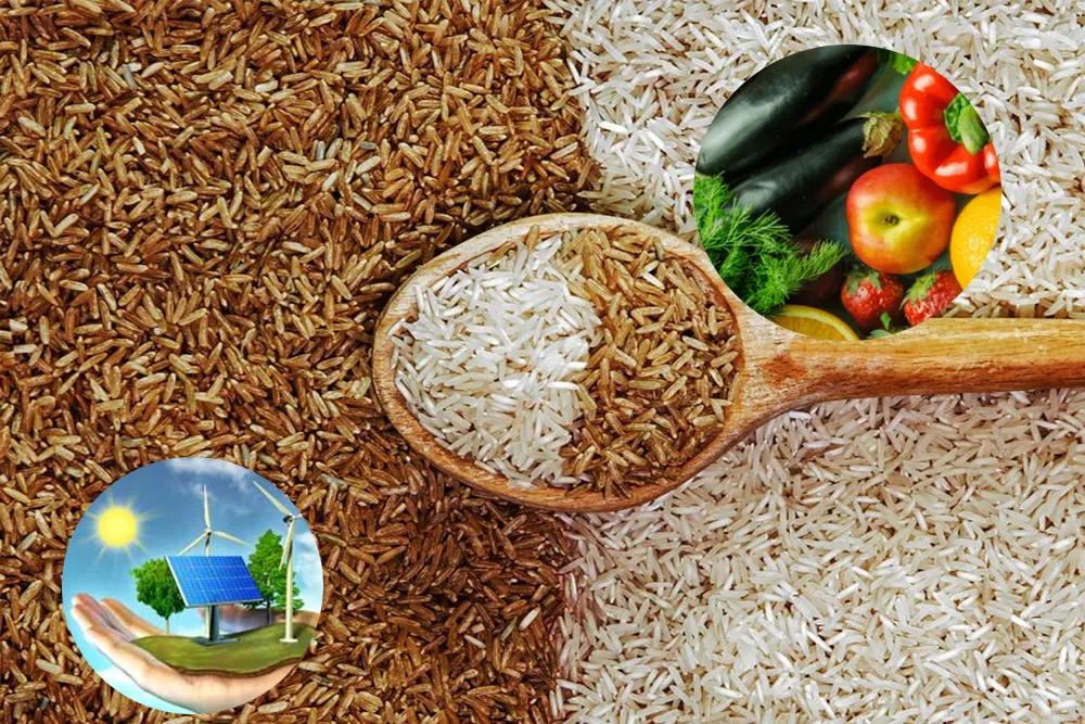 India Self-Reliant in Rice and Wheat, Shifts Focus to Food, Energy and Water Security