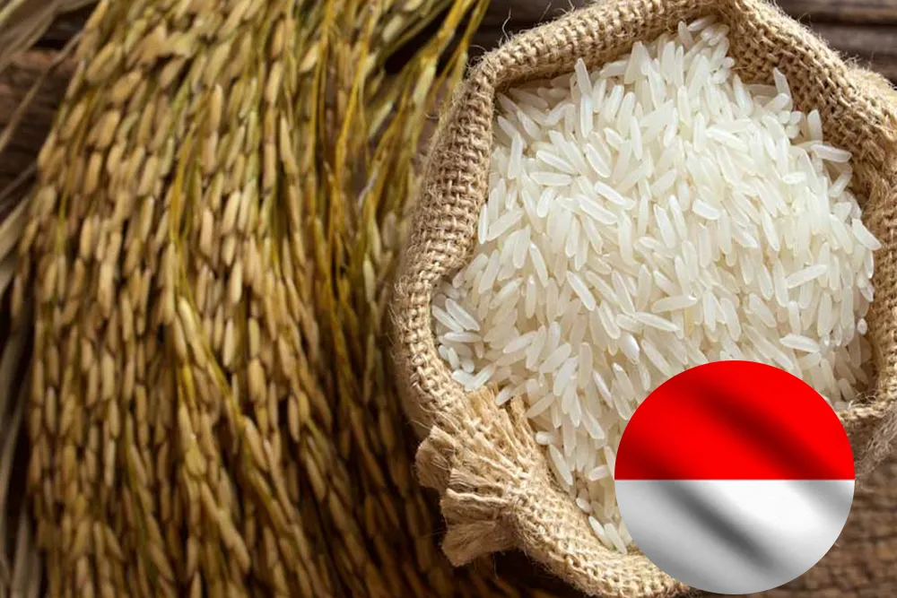 Indonesia 2025 rice output up 13% on Good Weather, stats bureau says