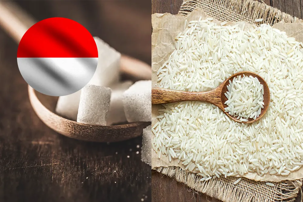 Global Agriculture & Trade Update, Import Bans and Rice Policy Shifts. Today's top rice news is here