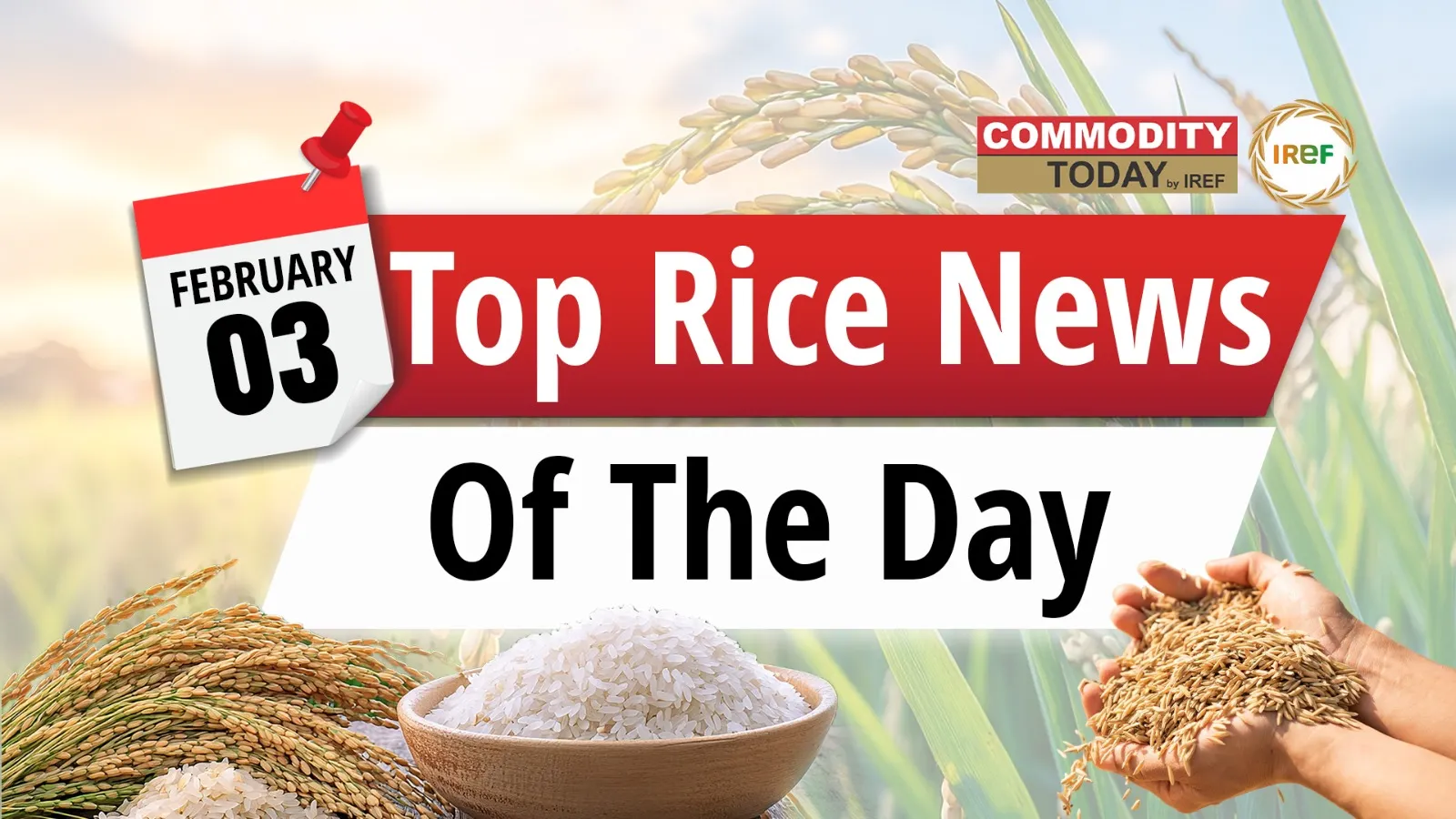 Global Agriculture & Trade Update, Import Bans and Rice Policy Shifts. Today's top rice news is here