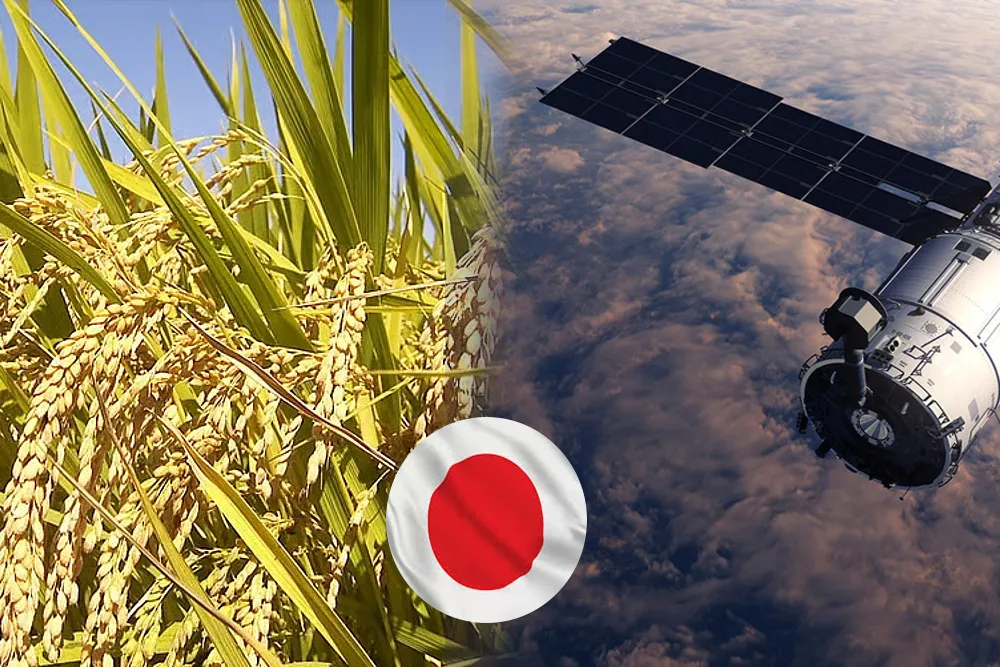 Japan Supports Satellite Imagery for Improving Rice Cultivation in Laos