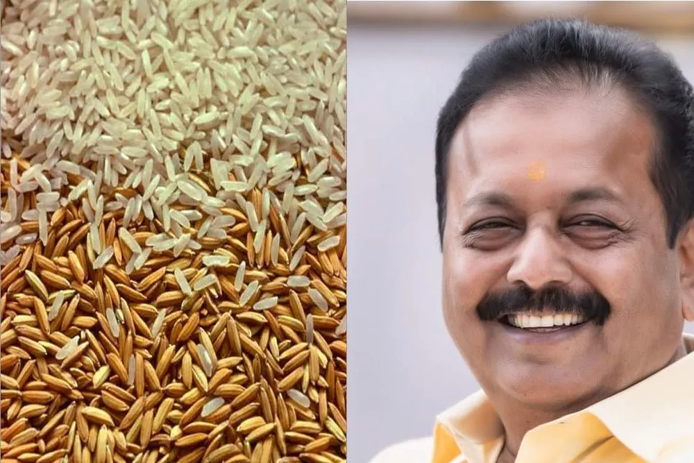 From Post-Harvest Model to Japan Farm Minister’s Rice Gaffe: Today’s Top Rice News