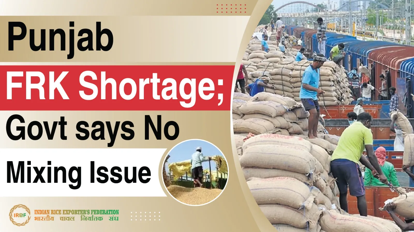 Punjab Faces Fortified Rice Kernels Shortage as Govt Tells Parliament No Issues in FRK Mixing at 1100 Ratio