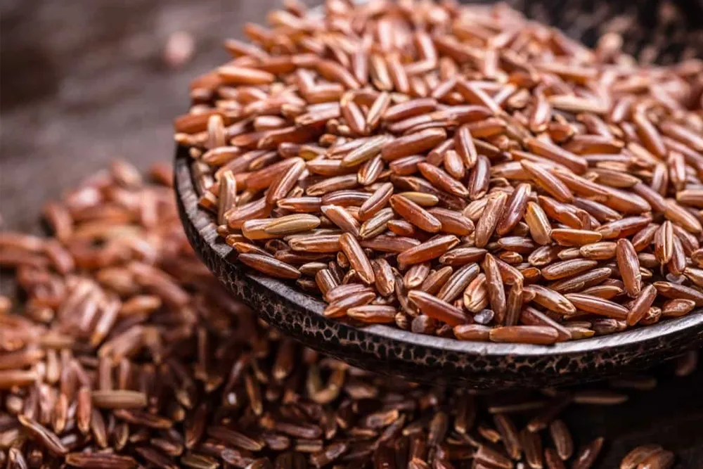 Red Rice Market to climb USD 4.17 Billion by 2032, Driven by Rising Health Awareness and Demand for Nutrient-Rich Grains