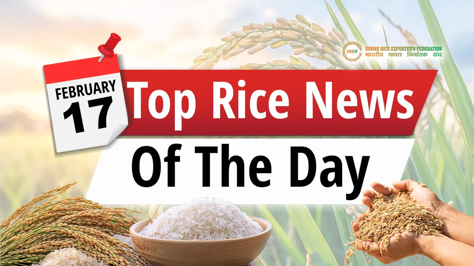 Rice News Today: Japan Rice Prices, Philippines Drive China Seed Exports
