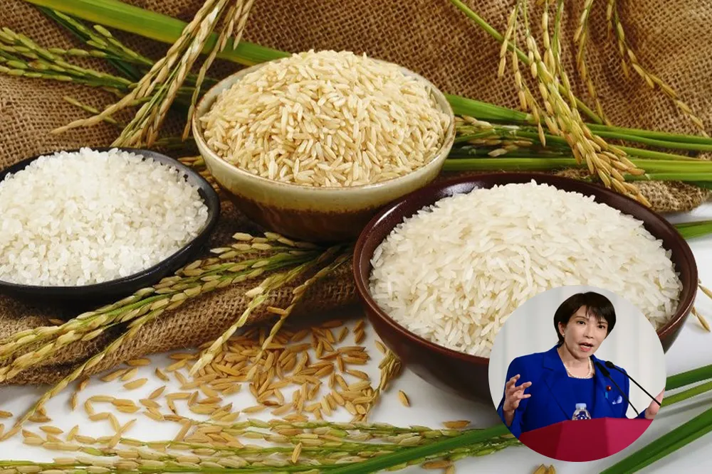 Rice policy revived ahead of Japan election as PM Takaichi shifts course