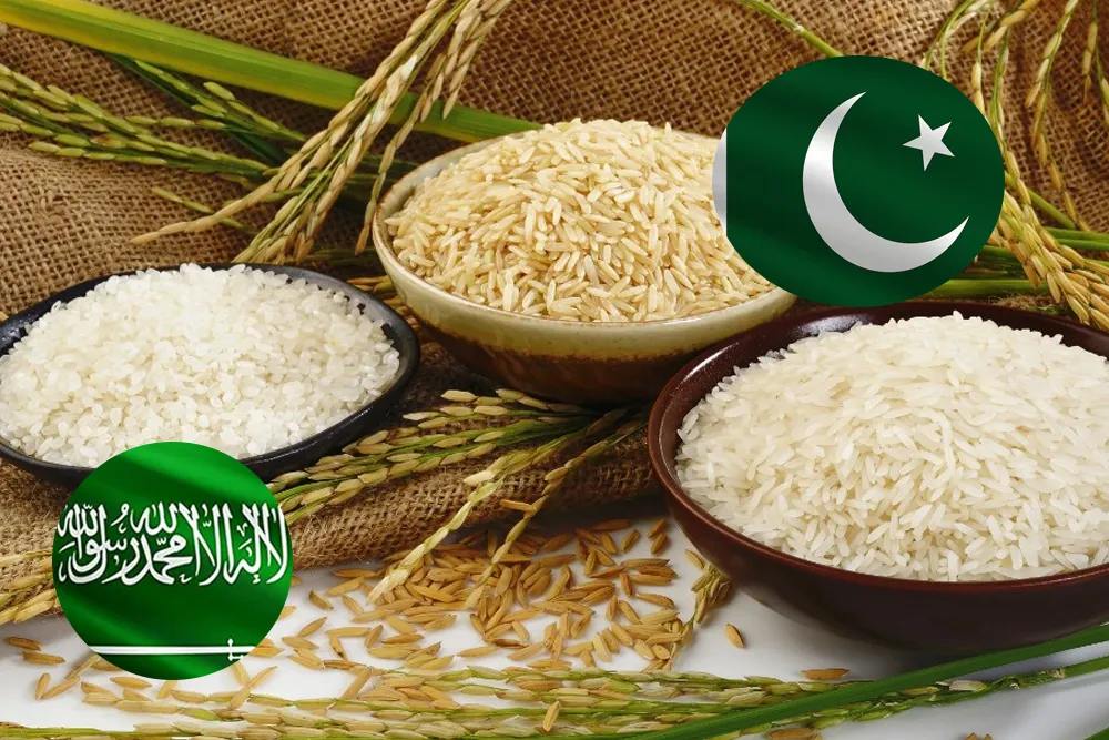 Saudi Arabia Looks For Investment in Pakistan’s Rice Sector
