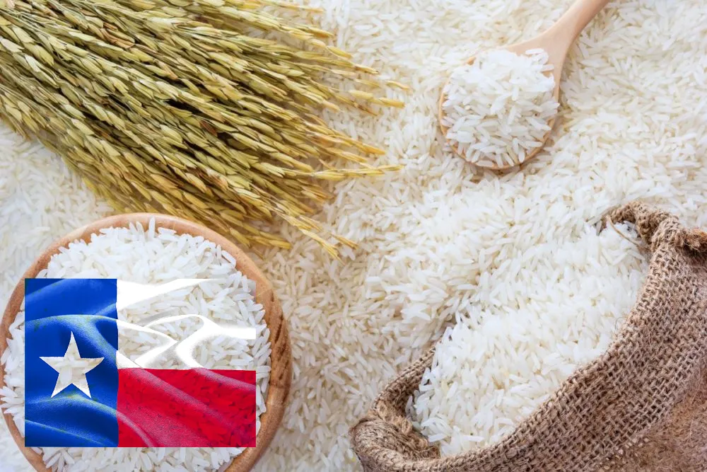 Texas rice production costs demand efficiency