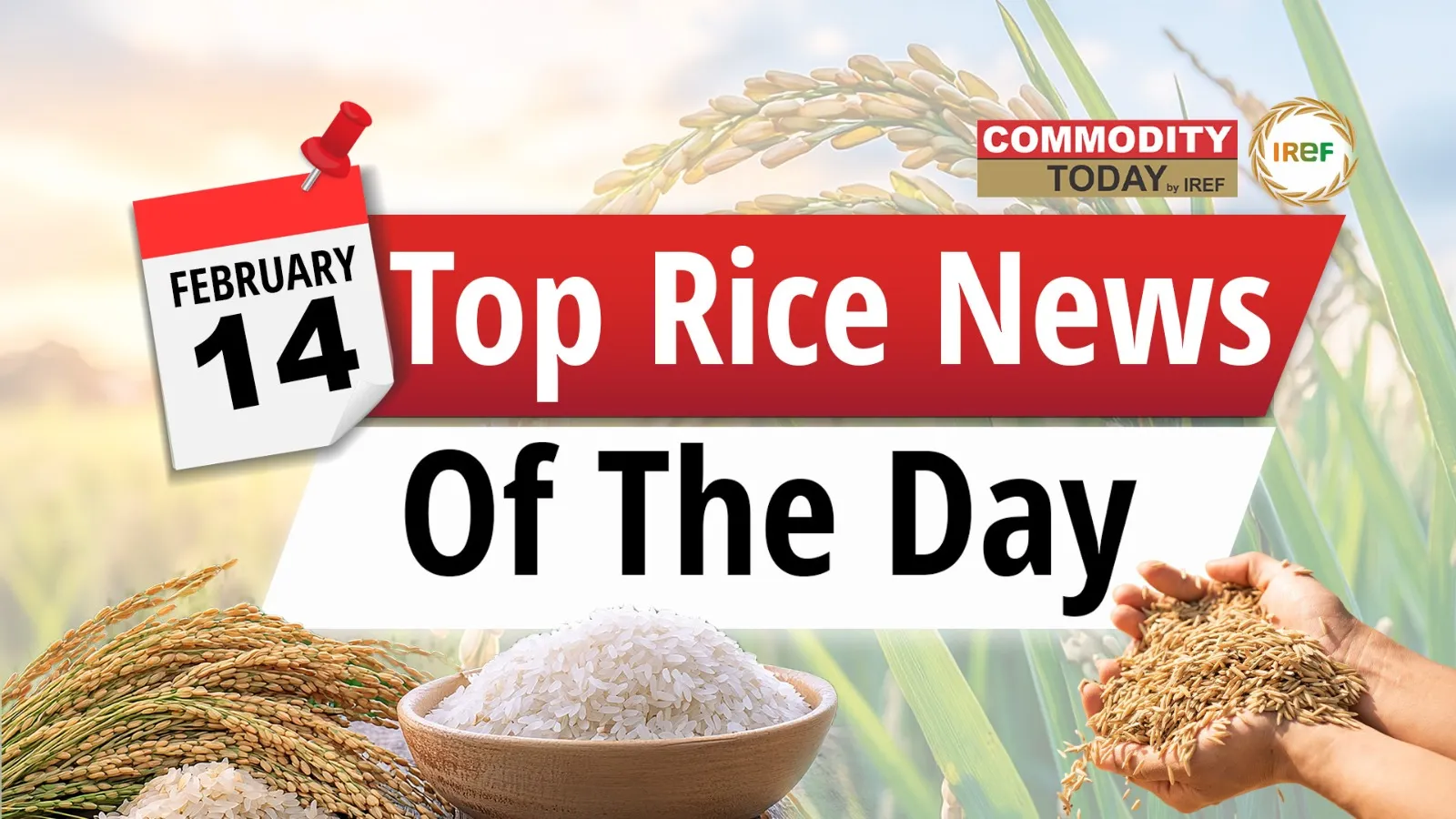 Today’s Top Rice News: Chhattisgarh Strengthens the Rice Bowl, India’s Rice Milling Market Set for Growth, Global Seed Innovation &amp; AI Transforming Rice Breeding