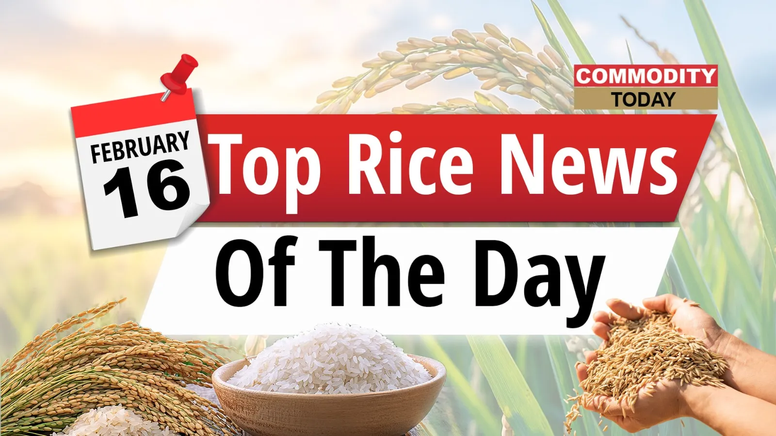 Today’s Top Rice News: Paddy Output Shrinks, a rice miller meets Minister Joshi