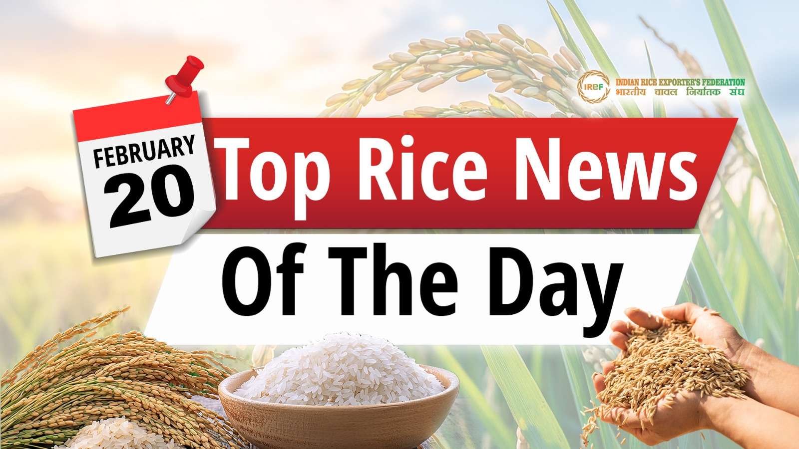 Top Rice News: Bangladesh Doubles Hybrid Coverage, Global Emissions Spotlight on Rice, Pakistan Revamps Export Rebate Scheme