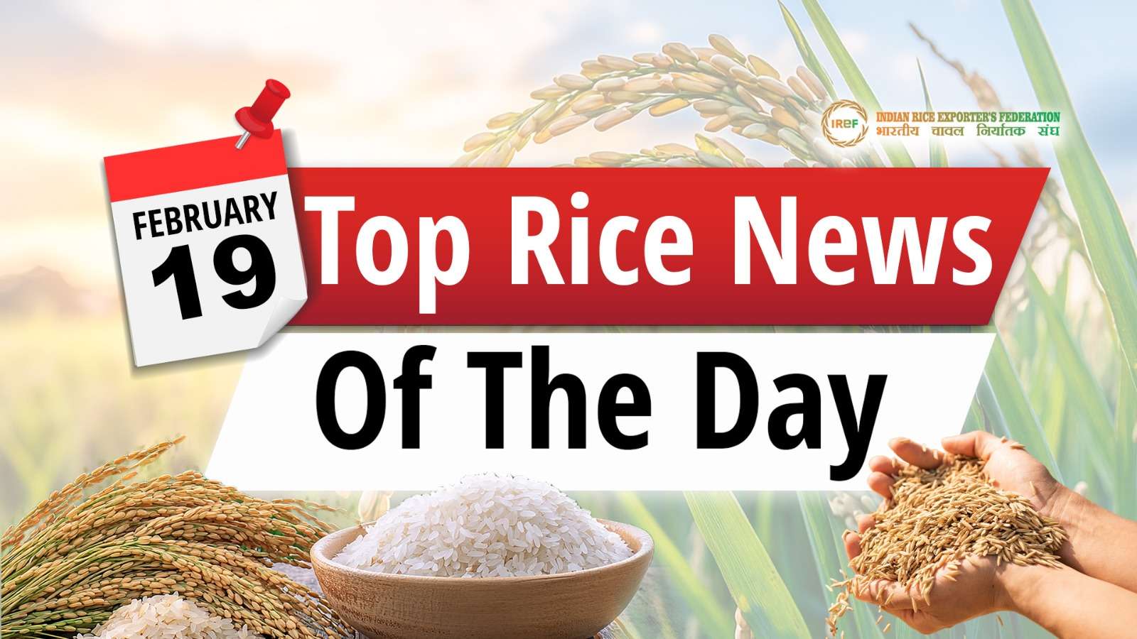Top Rice News: Bengal's Aromatic Rice Varieties, Global Rice Prices & Exports