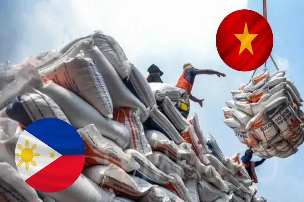 Vietnamese Rice Exports Resume, Experts Call for Sector Restructuring: Today's Top Rice News